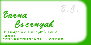 barna csernyak business card